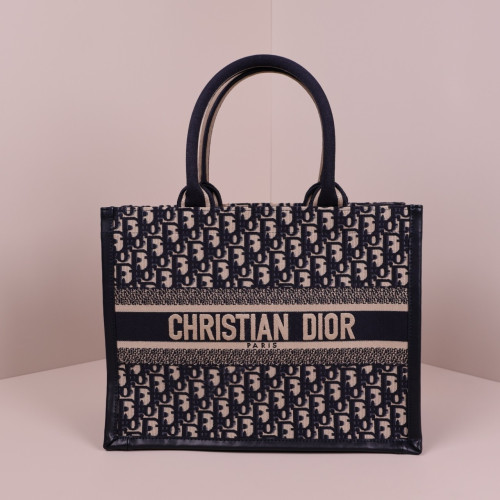 ✨디올 오블리크 북토트백 ✨