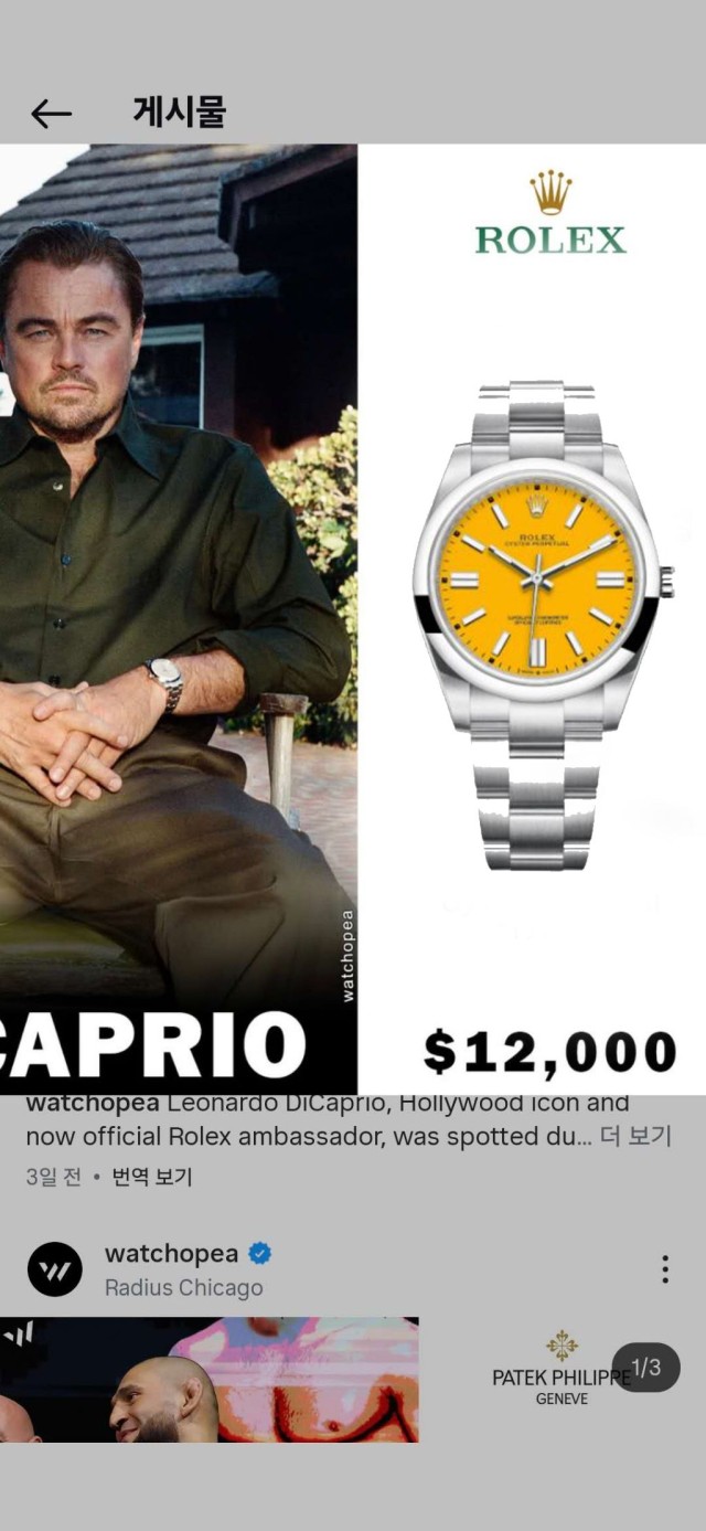 오이스터페퍼츄얼 옐로우