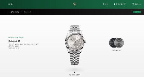 로렉스 데이저스트 오이스터, 41mm, 오이스터스틸과 화이트 골드