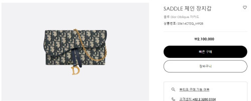 🚨디올 SADDLE 체인 장지갑