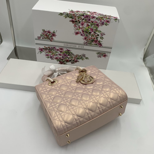 #디올 레이디백