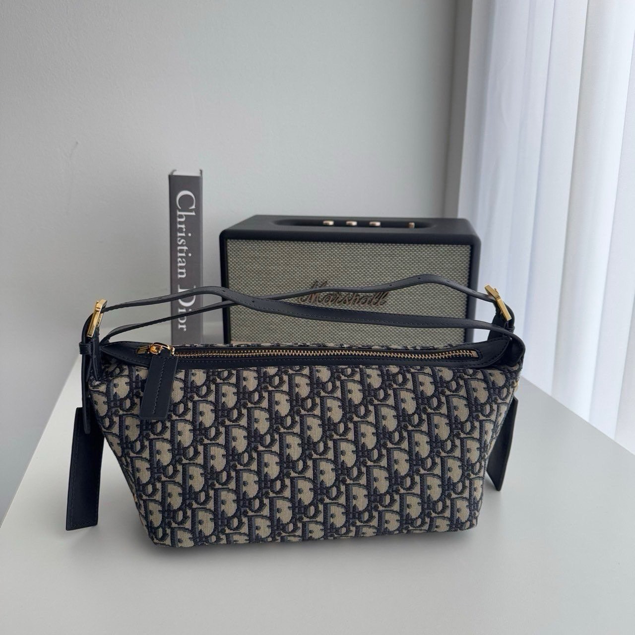 #A #디올 오블리크 디 저니백