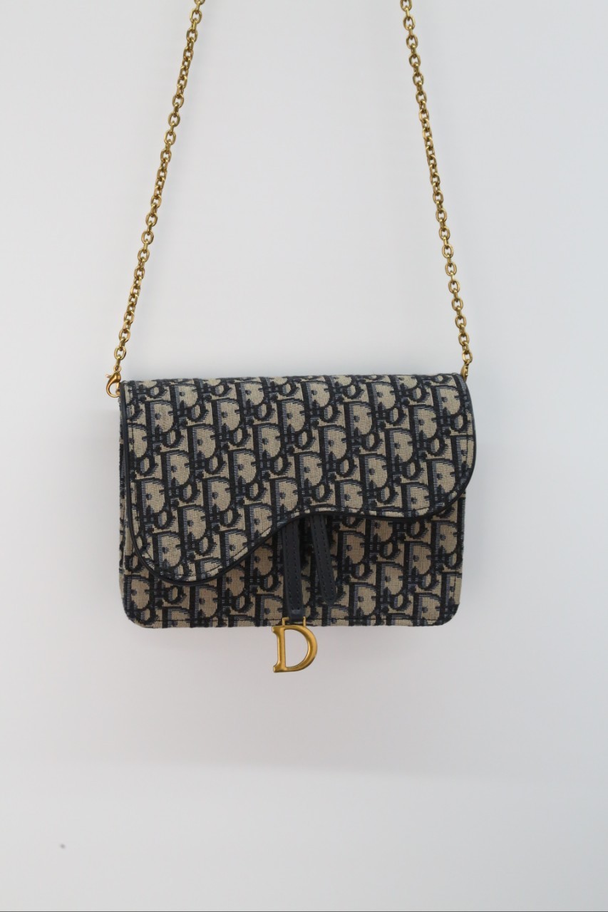 디올 오블리크 새들 미니 체인백