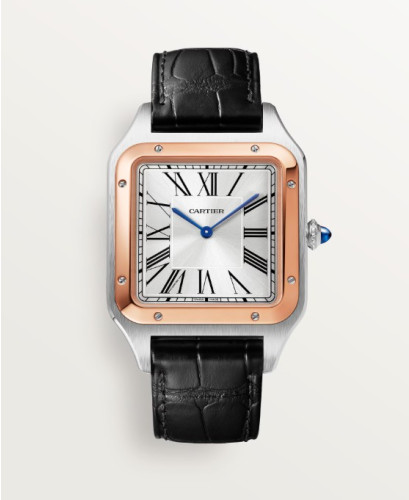 까르띠* 산토스 뒤몽