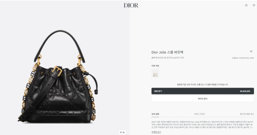 🚨디올 졸리 버킷백