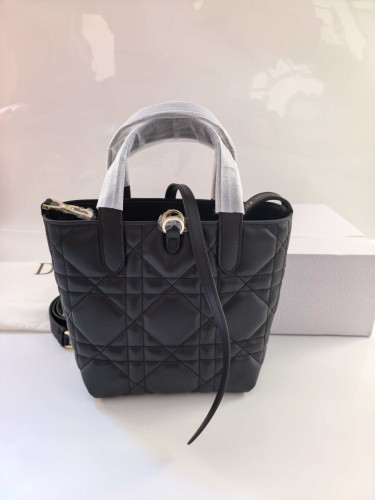 #N #디올 까나쥬 스몰 버티컬백