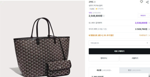 ✨고야드 생루이 백 PM 블랙 ✨