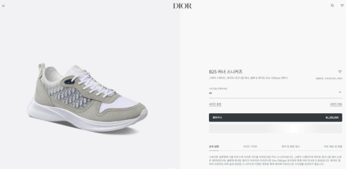 🚨디올 B25 러너 스니커즈 그레이